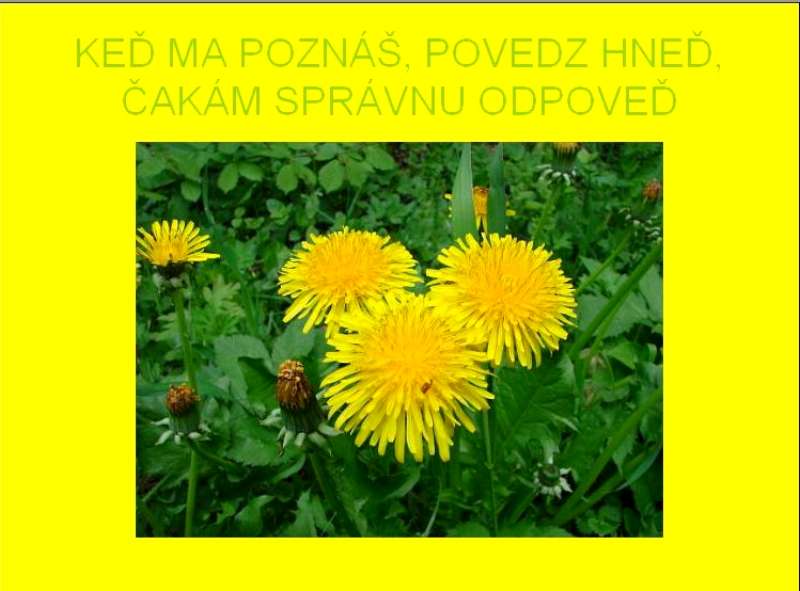 03.Poslovia jari-kvety...od Alenky